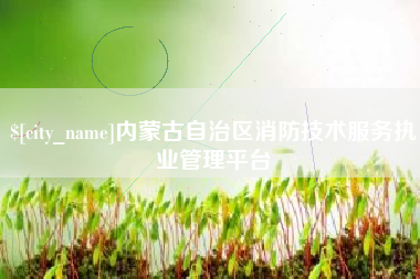凤城内蒙古自治区消防技术服务执业管理平台