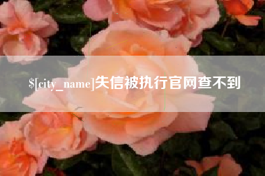 凤城失信被执行官网查不到