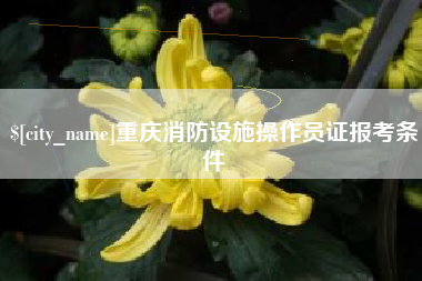 凤城重庆消防设施操作员证报考条件