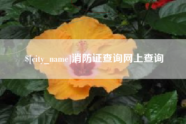 凤城消防证查询网上查询
