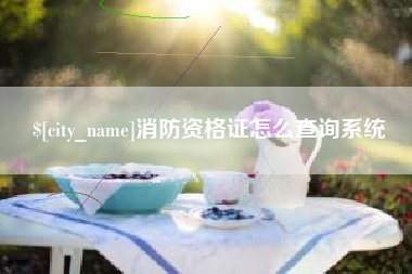 凤城消防资格证怎么查询系统