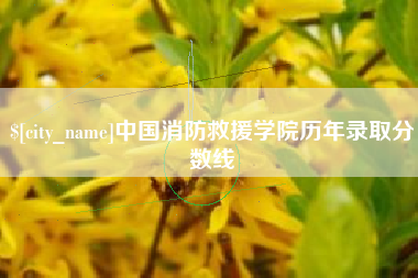 凤城中国消防救援学院历年录取分数线