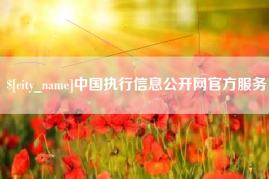 凤城中国执行信息公开网官方服务