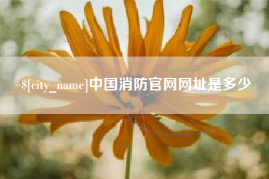 凤城中国消防官网网址是多少