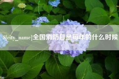 凤城全国消防日是每年的什么时候