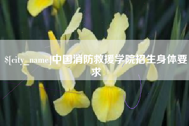 凤城中国消防救援学院招生身体要求