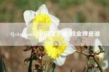 凤城中国拿下第9枚金牌是谁