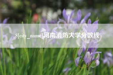凤城河南消防大学分数线