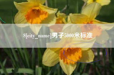 凤城男子5000米标准