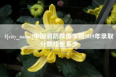凤城中国消防救援学院2019年录取分数线是多少