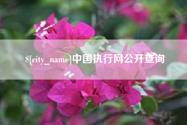 凤城中国执行网公开查询