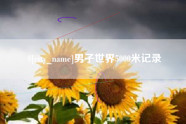 凤城男子世界5000米记录