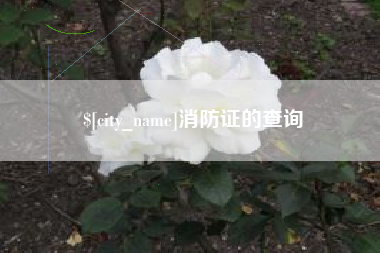 凤城消防证的查询