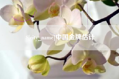 凤城中国金牌估计