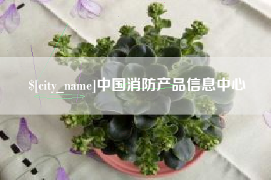 凤城中国消防产品信息中心