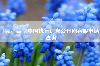 凤城中国执行信息公开网客服电话查询