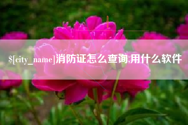 凤城消防证怎么查询,用什么软件