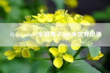 凤城全国男子5000米世界纪录