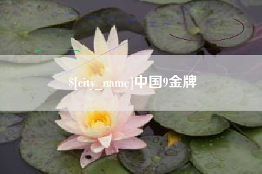 凤城中国9金牌