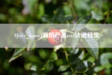 凤城消防产品cccf认证目录