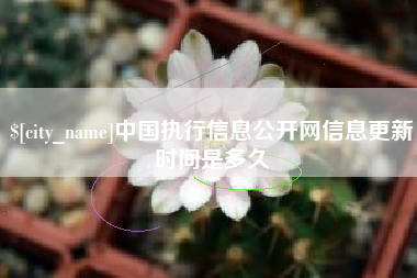 凤城中国执行信息公开网信息更新时间是多久