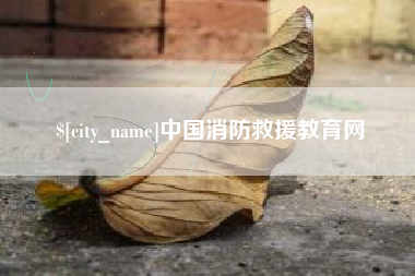 凤城中国消防救援教育网
