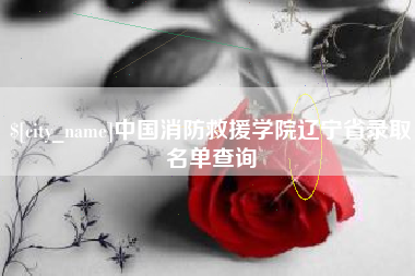 凤城中国消防救援学院辽宁省录取名单查询