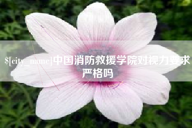 凤城中国消防救援学院对视力要求严格吗