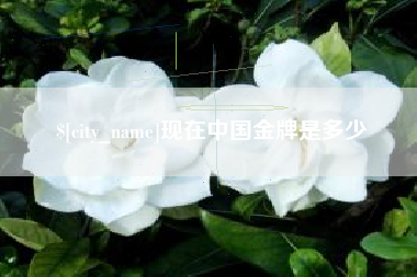 凤城现在中国金牌是多少