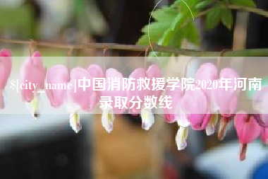 凤城中国消防救援学院2020年河南录取分数线