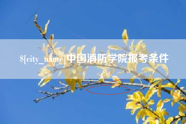 凤城中国消防学院报考条件
