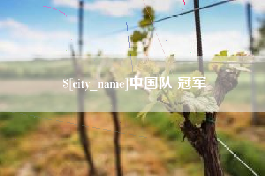 凤城中国队 冠军
