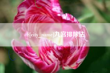 凤城九宫排除法