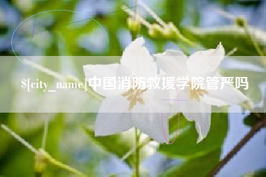 凤城中国消防救援学院管严吗