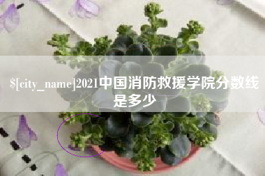 凤城2021中国消防救援学院分数线是多少