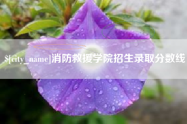 凤城消防救援学院招生录取分数线