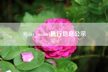 凤城执行信息公示