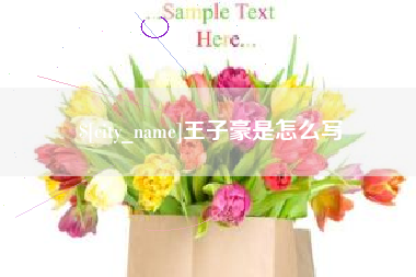凤城王子豪是怎么写