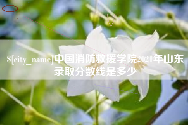 凤城中国消防救援学院2021年山东录取分数线是多少