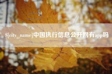 凤城中国执行信息公开网有app吗