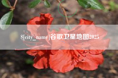 凤城谷歌卫星地图2025