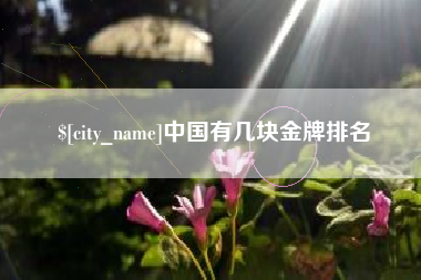 凤城中国有几块金牌排名