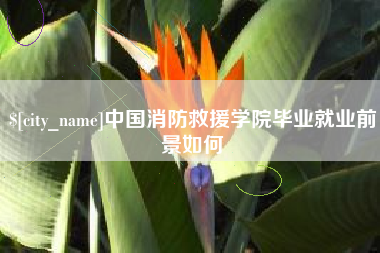 凤城中国消防救援学院毕业就业前景如何