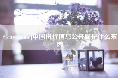 凤城中国执行信息公开网是什么东西