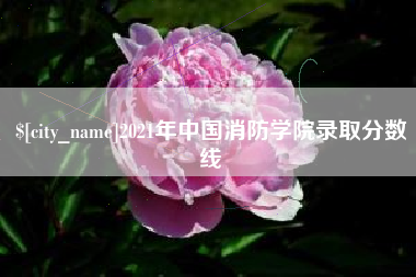 凤城2021年中国消防学院录取分数线