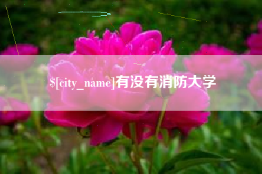 凤城有没有消防大学