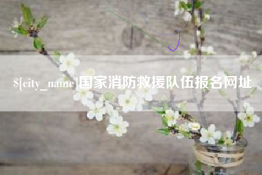 凤城国家消防救援队伍报名网址