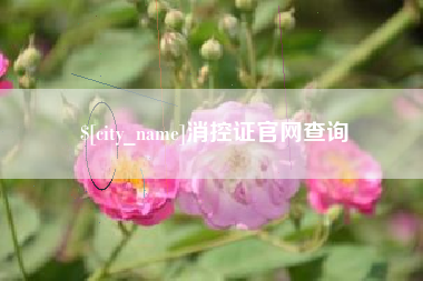 凤城消控证官网查询