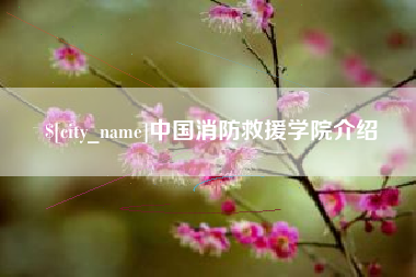 凤城中国消防救援学院介绍