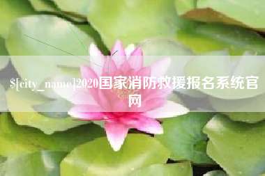 凤城2020国家消防救援报名系统官网